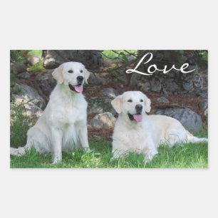 Pegatinas de cachorros de Golden Retriever adorabl