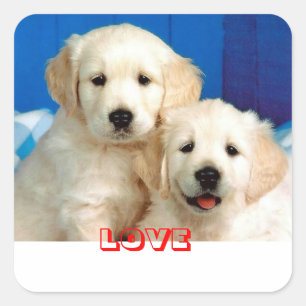 Pegatinas de cachorros de Golden Retriever adorabl