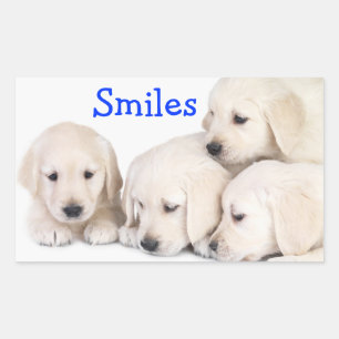 Pegatinas de cachorros de Labrador Retriever sonri