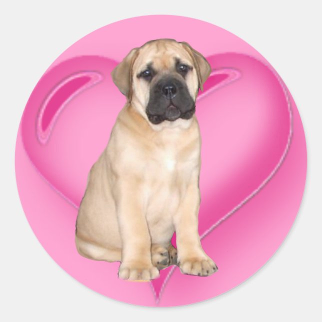 Pegatinas de cachorros de Love Bullmastiff (Anverso)