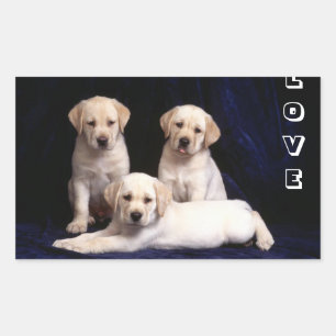 Pegatinas de cachorros de perro Labrador Retriever