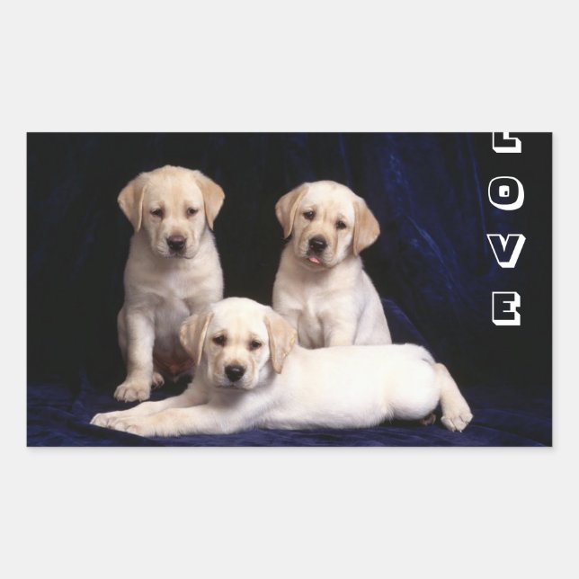 Pegatinas de cachorros de perro Labrador Retriever (Anverso)