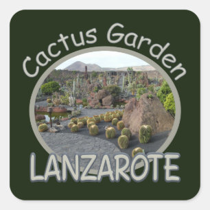 Pegatinas de Cactus Garden