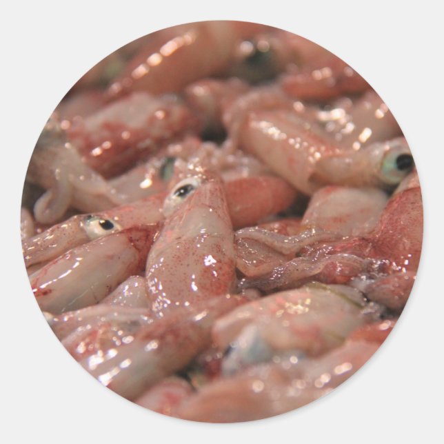 Pegatinas de calamar fresco (Anverso)