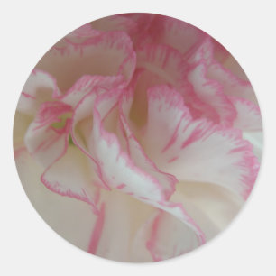 Pegatinas de canal blanco y rosa