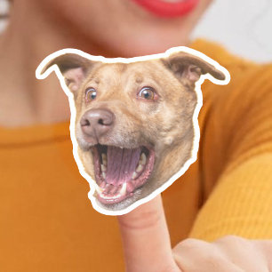 Pegatinas de cara de perro personalizado   Regalo 