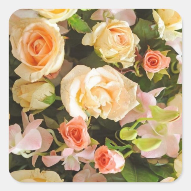 pegatinas de casamiento de melocotón y marfil Rosa (Anverso)