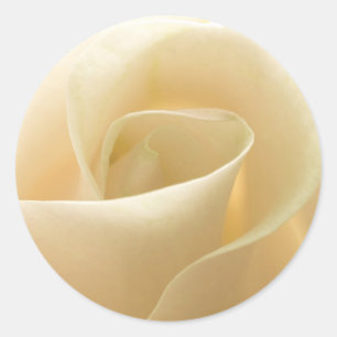 Pegatinas de casamiento de Rosa de marfil