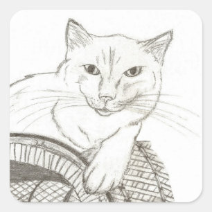 Pegatinas de Cat Ragdoll Portrait Square - Conjunt
