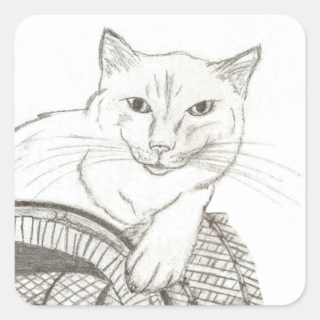 Pegatinas de Cat Ragdoll Portrait Square - Conjunt (Anverso)