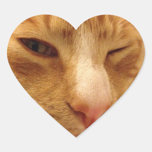 Pegatinas de CGK (Anverso)