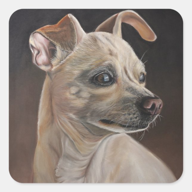 Pegatinas de Chihuahua (Anverso)