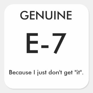 Pegatinas de Chiste E-7 genuinos