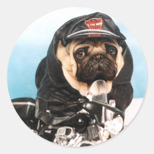 Pegatinas de ciclismo de pug