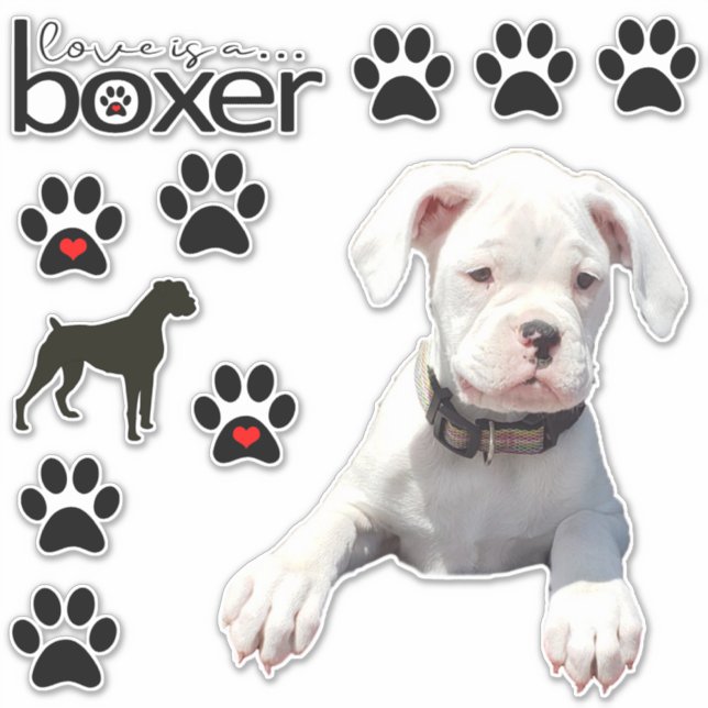 Pegatinas de coches de perros de boxeador blanco d (Anverso)