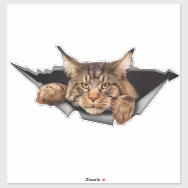 Pegatinas de coches divertidos, Pegatinas de coche (Hoja)