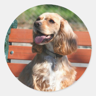 Pegatinas de Cocker Spaniel