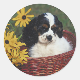Pegatinas de Cocker Spaniel