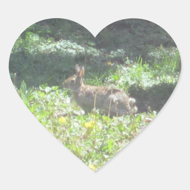 Pegatinas de conejitos silvestres - Hoja de 20 (Anverso)