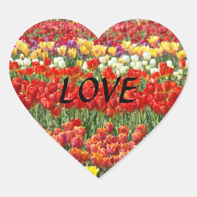 Pegatinas de CORAZÓN en forma de Tulipanes Rojos F (Anverso)