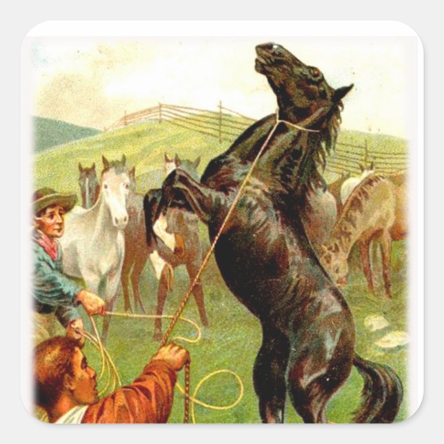 Pegatinas de Cowboy Caballos Salvajes (Anverso)