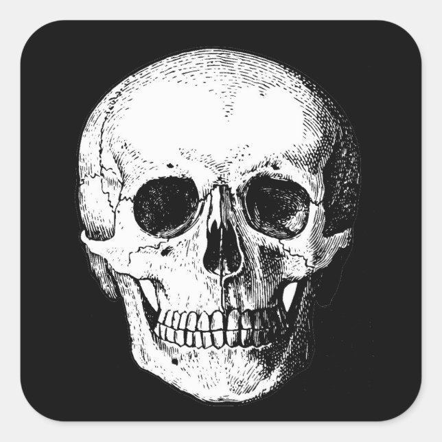 Pegatinas de cráneo (Anverso)