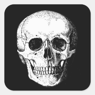 Pegatinas de cráneo