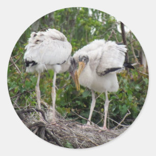 Pegatinas de Crazy Wood Stork