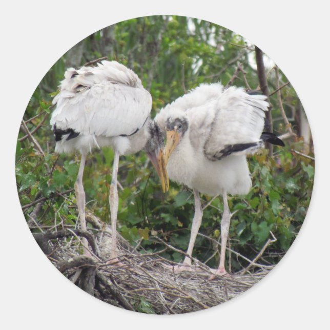 Pegatinas de Crazy Wood Stork (Anverso)