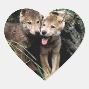 pegatinas de crías de lobo