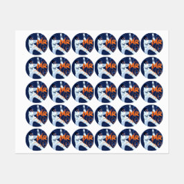 Pegatinas de críquet 2024