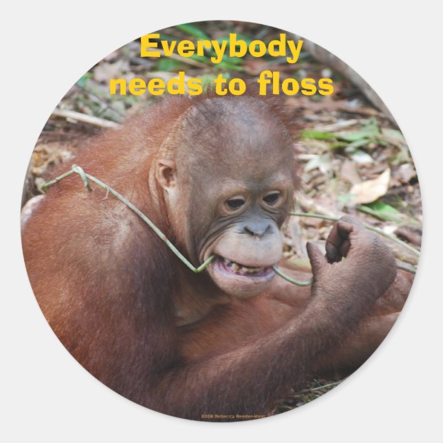 Pegatinas de cuidado dental de dientes de dientes  (Anverso)