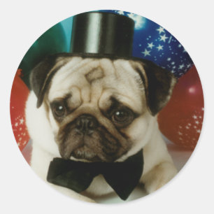 Pegatinas de cumpleaños de Pug Tophat