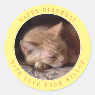 PEGATINAS DE CUMPLEAÑOS GRANDES Y REDONDAS PET LOV