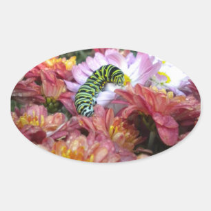 Pegatinas de Cute Caterpillar