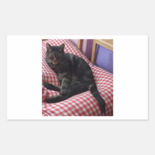 Pegatinas de Cute Dave Rectangle