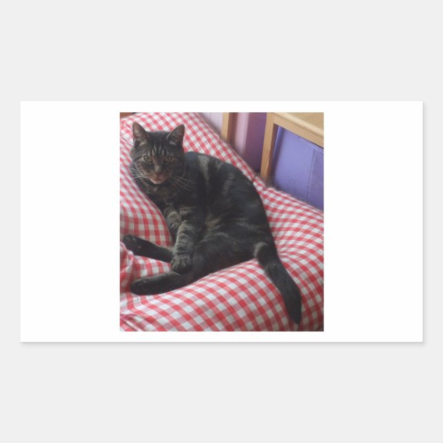 Pegatinas de Cute Dave Rectangle (Anverso)