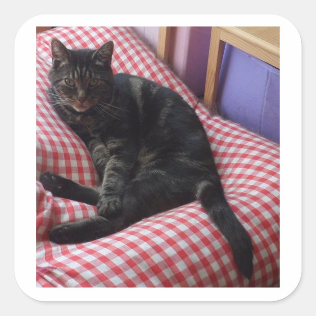 Pegatinas de Cute Dave Square (Anverso)
