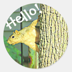 Pegatinas de Cute Hello Silly Squirrel