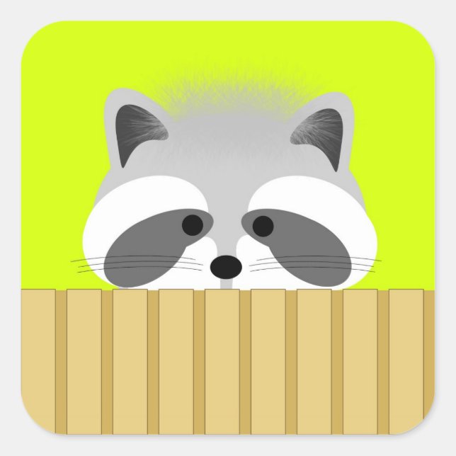 Pegatinas de Cute Raccoon (Anverso)