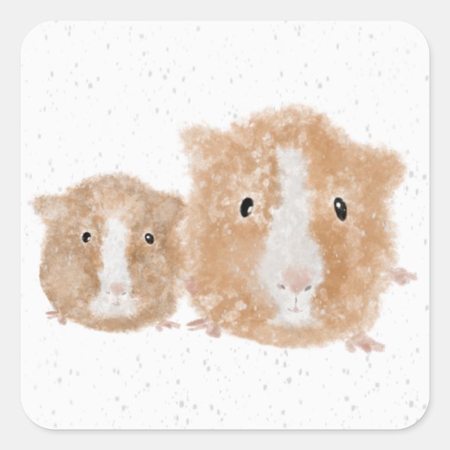 Pegatinas de Cuyes (Anverso)