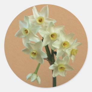 Pegatinas de Daffodil