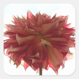 pegatinas de dalia rojas, naranjas y amarillas