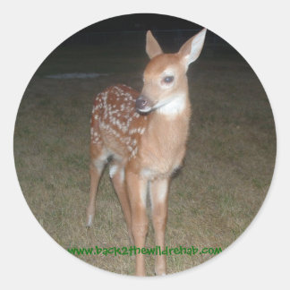 pegatinas de deer fawn rescatados