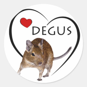 Pegatinas de Degu