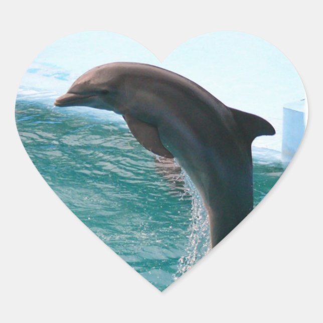 Pegatinas de delfines saltando (Anverso)