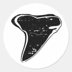 Pegatinas de dientes de tiburón fosilizados de col