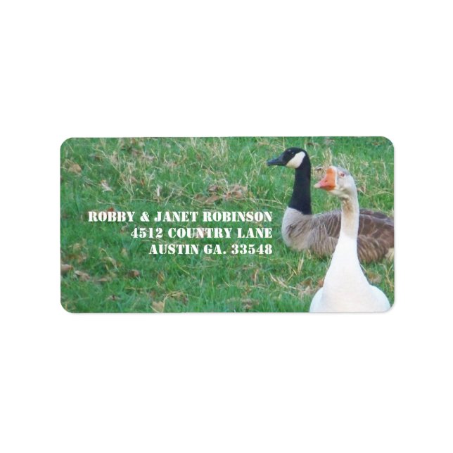 Pegatinas de direcciones de Geese (Frente)