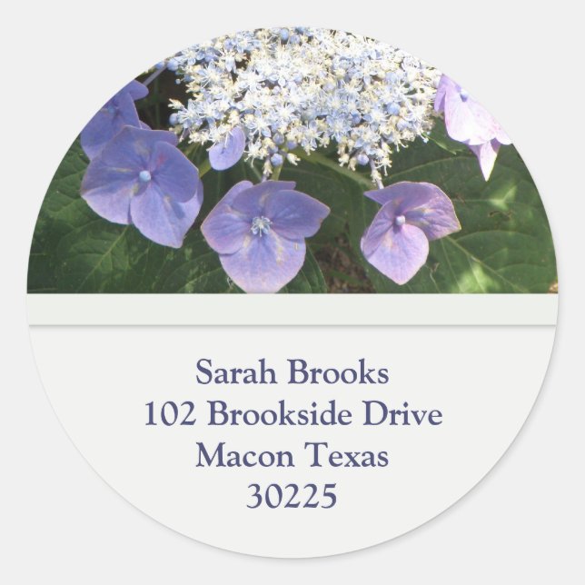 Pegatinas de direcciones de Lacecap Hydrangea (Anverso)