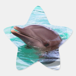 Pegatinas de diseño de delfines